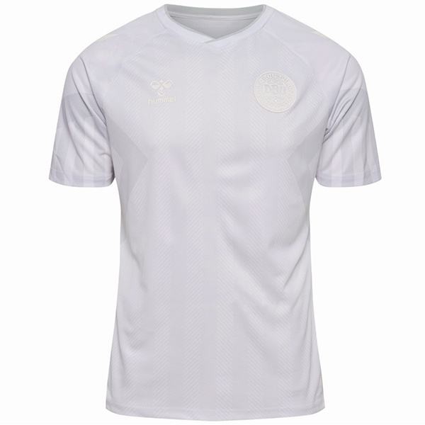 Denmark away soccer jersey second soccer kit men's sportswear football uniform tops sport shirt 2022 world cup
